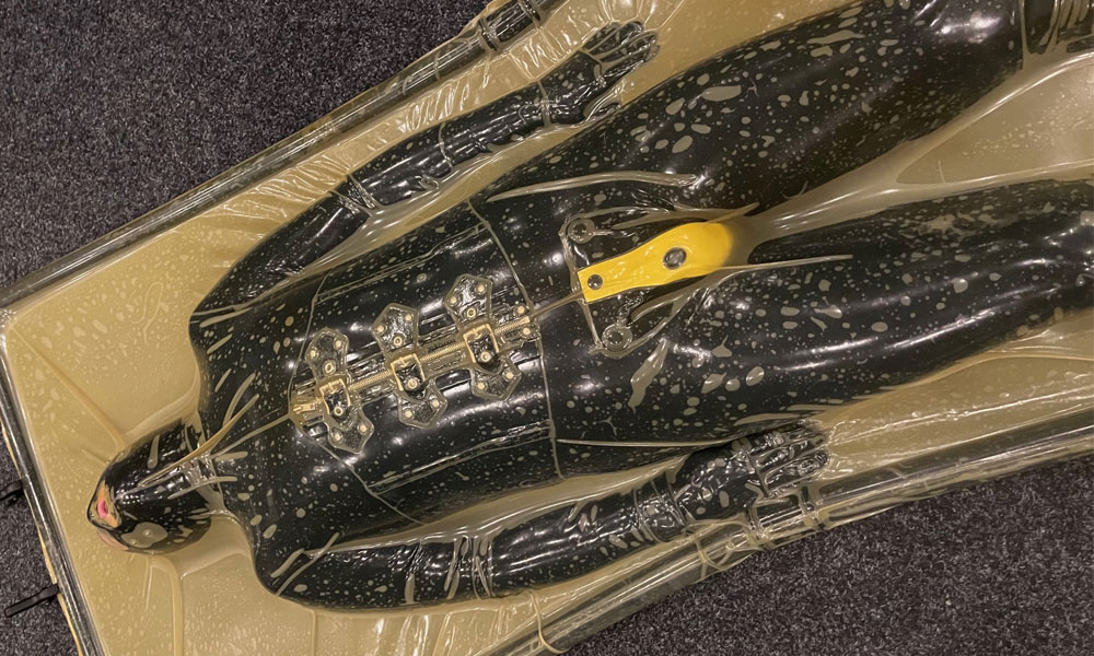 Latex Dominatrix Vacbed Play and The Science of Helplessness Blog Image